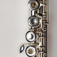 NORSK FLØYTEFORUM/ NORWEGIAN FLUTE SOCIETY