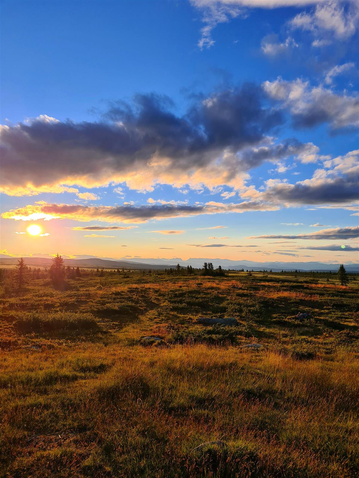 NORD-AURDAL UNGDOMSSKOLE