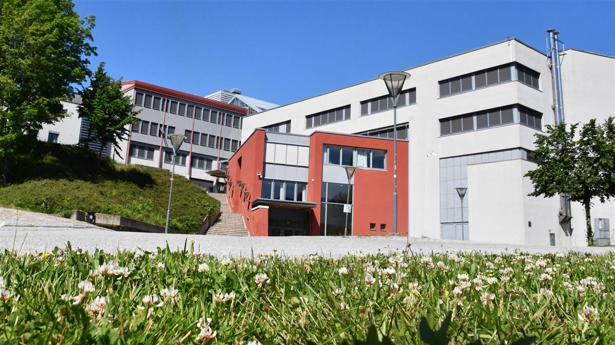 HALDEN VIDEREGÅENDE SKOLE