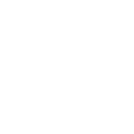 WONDERWALL AS