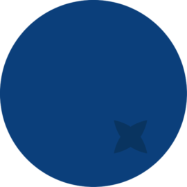 BLUEBERRY CAPITAL AS