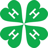 BYÅSEN 4H