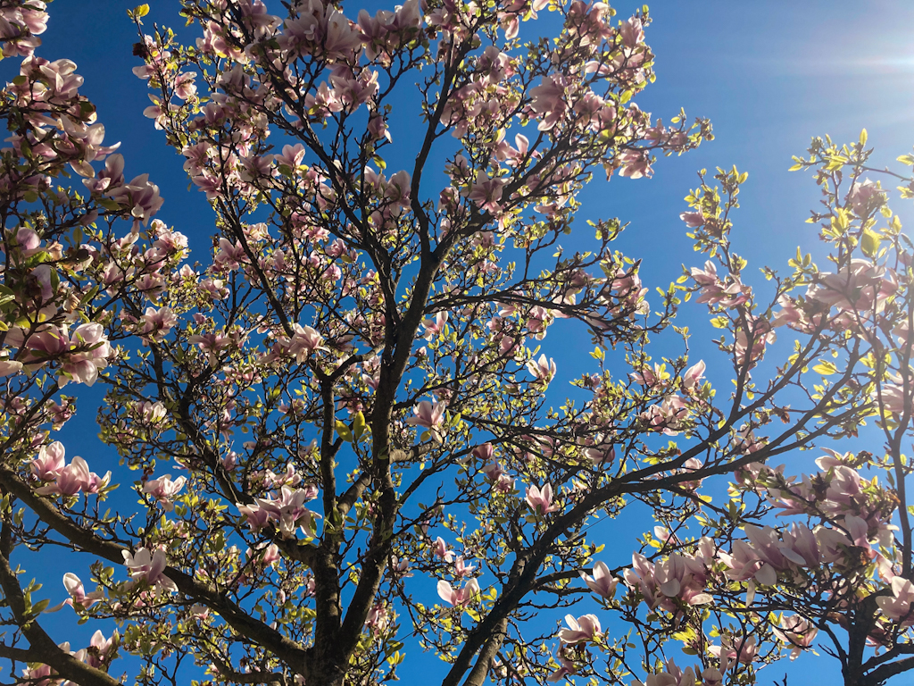 PSYKOLOG KENNETH FOSSE JØRGENSEN