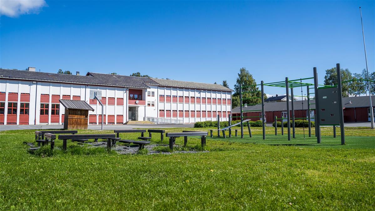 BLOMHAUG SKOLE