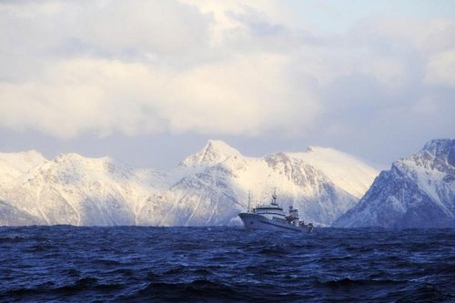 HAVFORSKNINGSINSTITUTTET