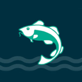 LORENTZ A LOSSIUS AS