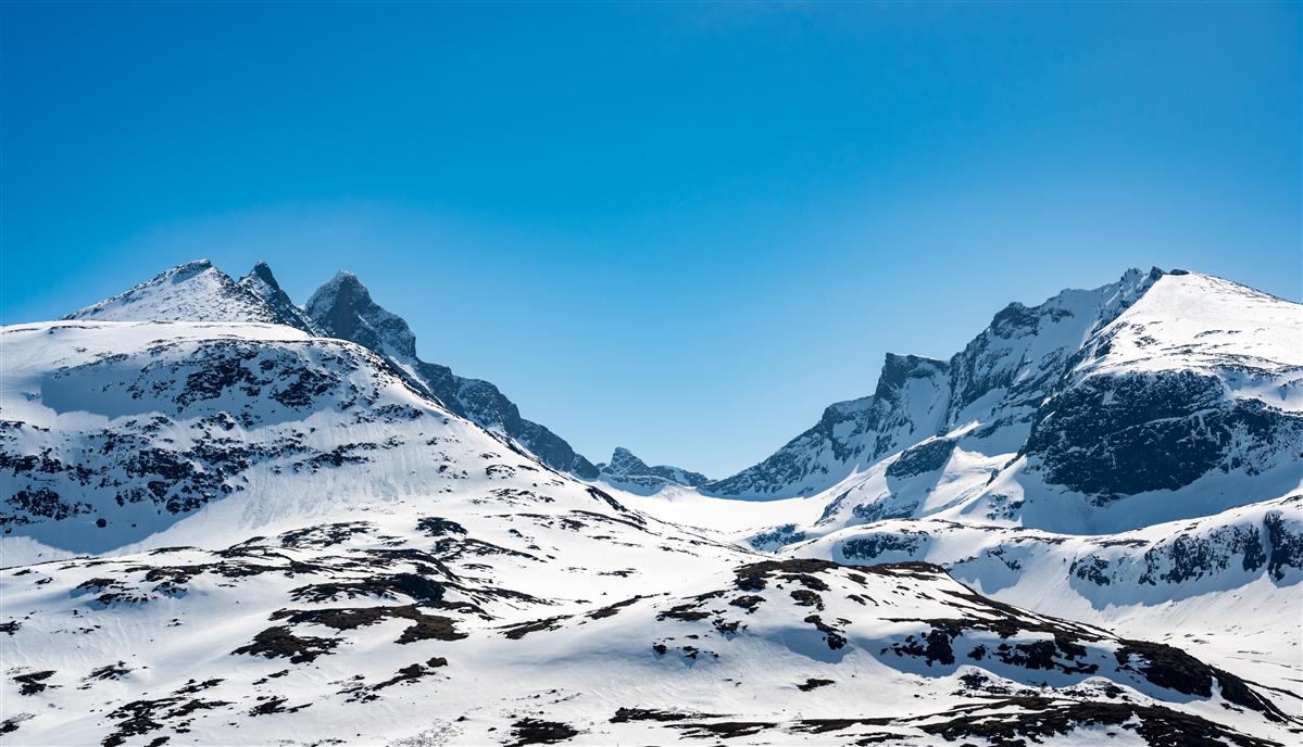 SKJOLDEN OPPVEKSTSENTER SKULE