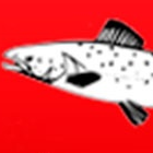 NEDRE MÅLSELVFOSSEN FERIESENTER AS