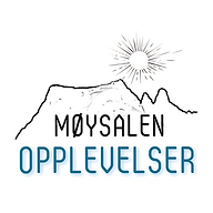 THOMASSEN OPPLEVELSER VESTERÅLEN