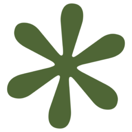 SAFARI PLANTER AS