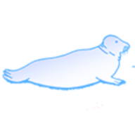 SELØY UNDERVANNSSERVICE AS