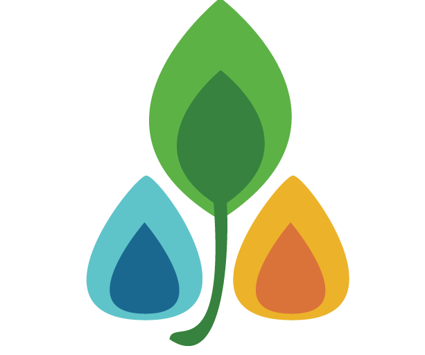 STEINERSKOLEN I BÆRUM VIDEREGÅENDE OPPLÆRING