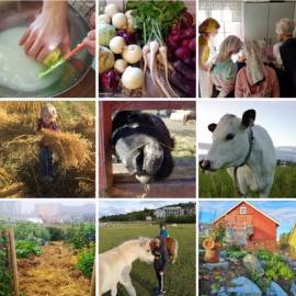 STIFTELSEN VOLL GÅRD