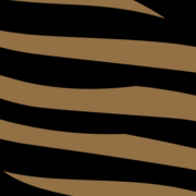 ZEBRA MEDIA STAVANGER AS